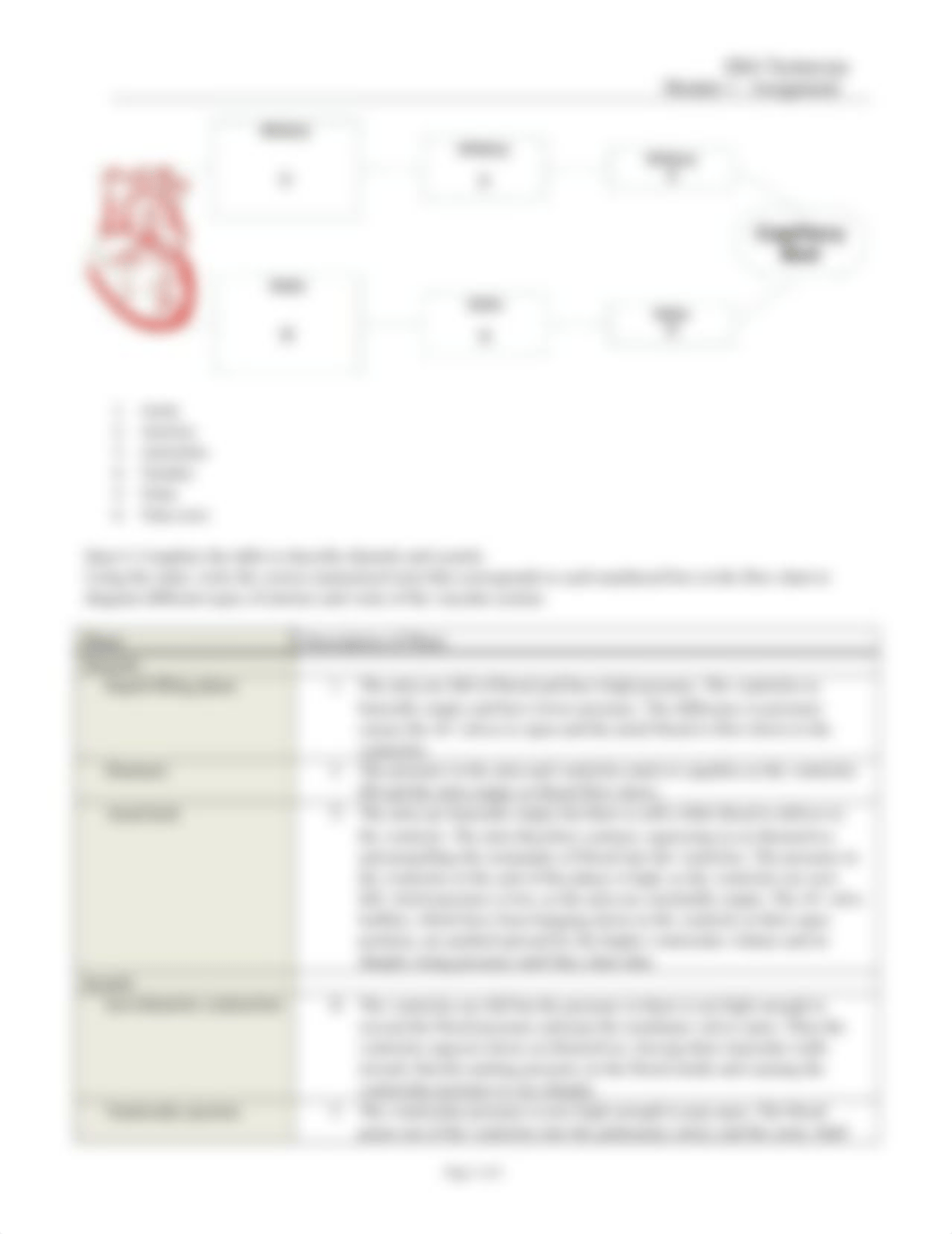 EKG Technician Module 1 Assignment 1 10-6.doc_d0rcktzuj30_page3