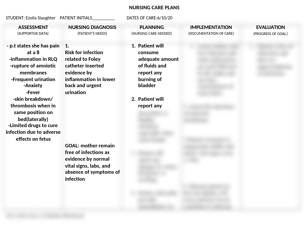 Preterm care plan 2.docx_d0rfcjc57h0_page1