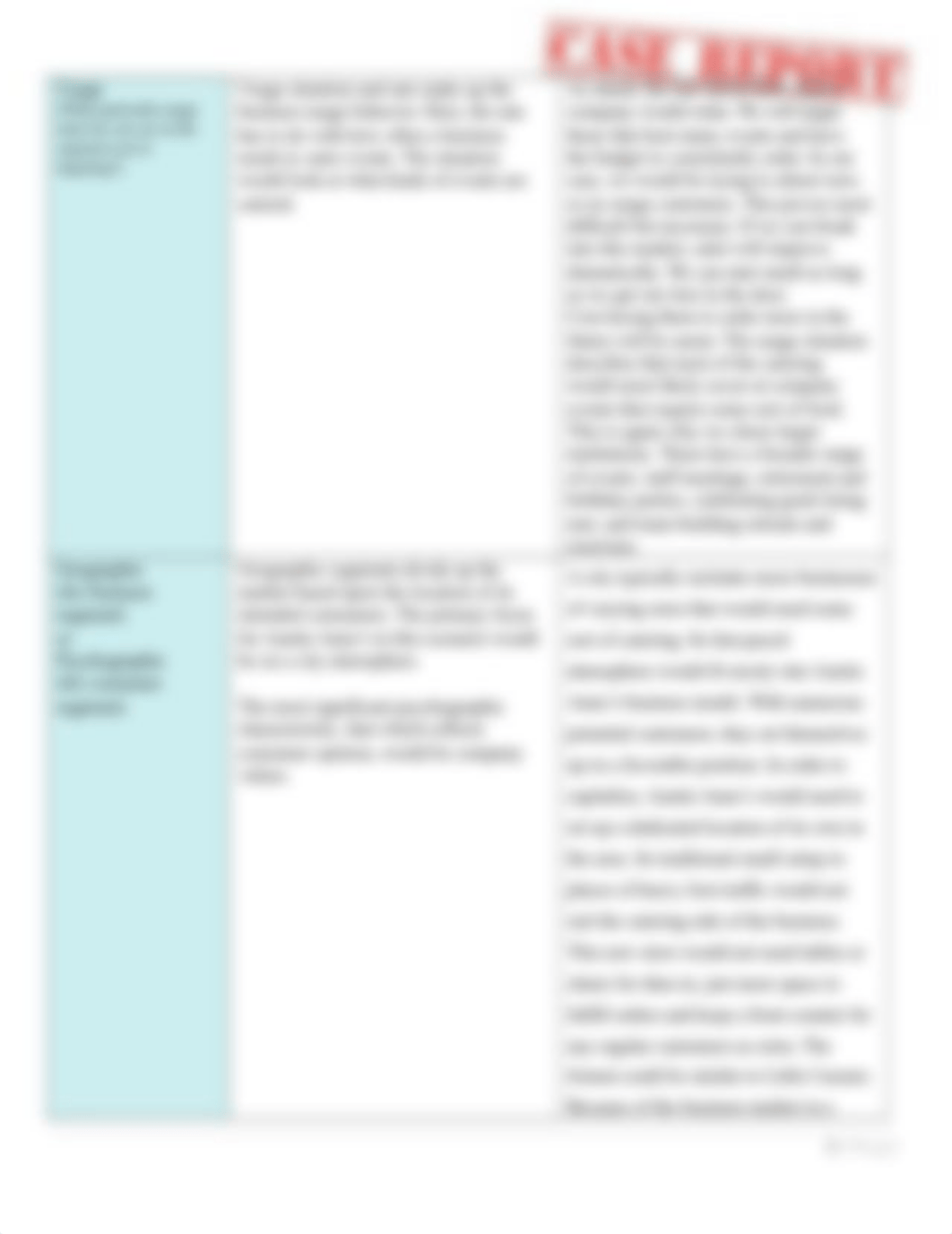 Case Report (Redo) - Auntie Anne's Part 1 (Segmentation).docx_d0rhgkvd5we_page2