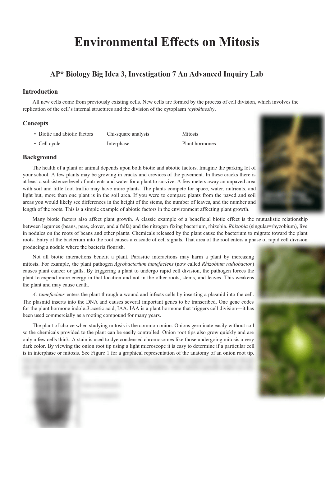 2021 Environmental Effects on mitosis.pdf_d0s0w1cj4at_page1