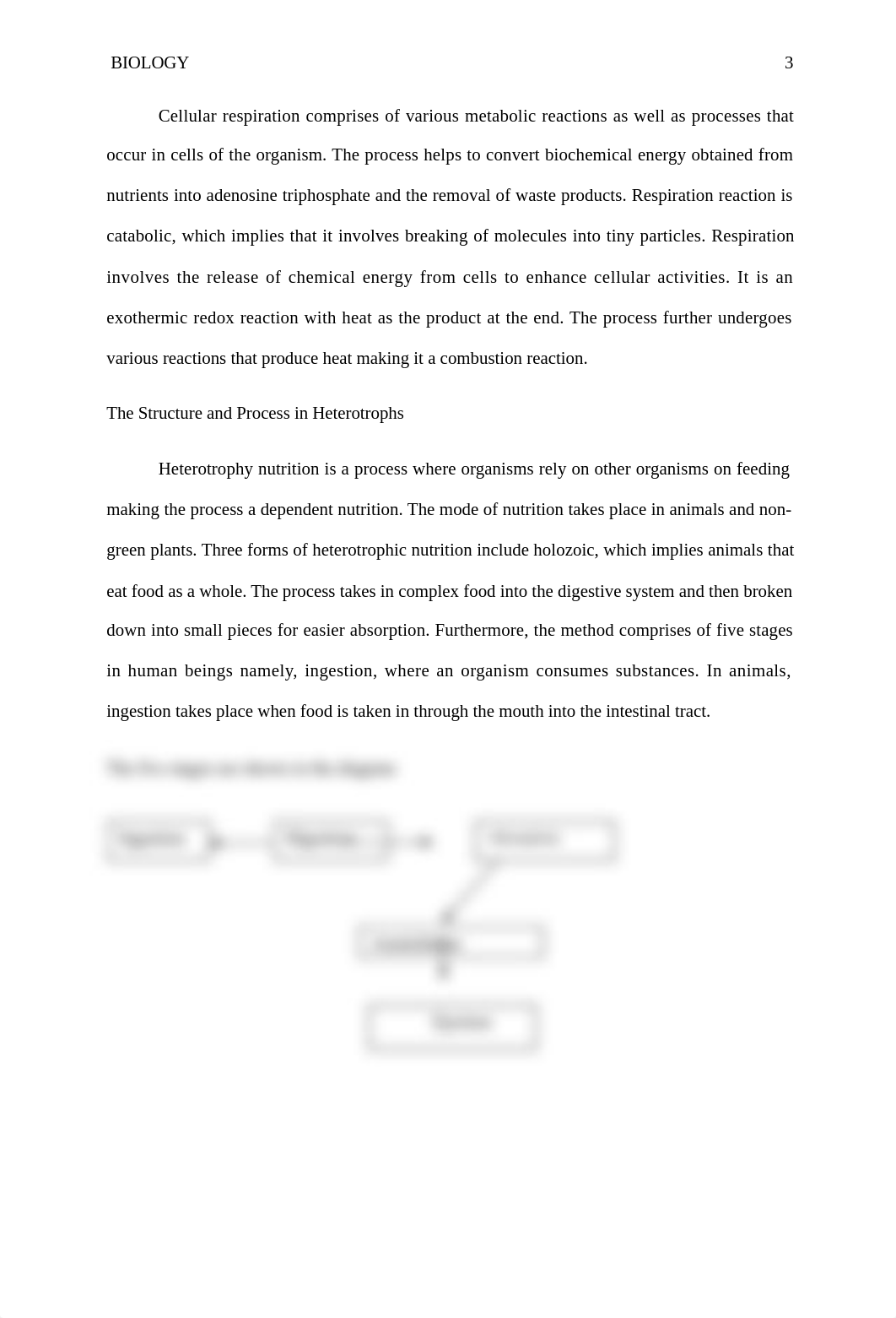 Energy Flow within the Ecosystem Structure and Dynamics from Light to Heat Energy.docx_d0s2gww22d7_page3