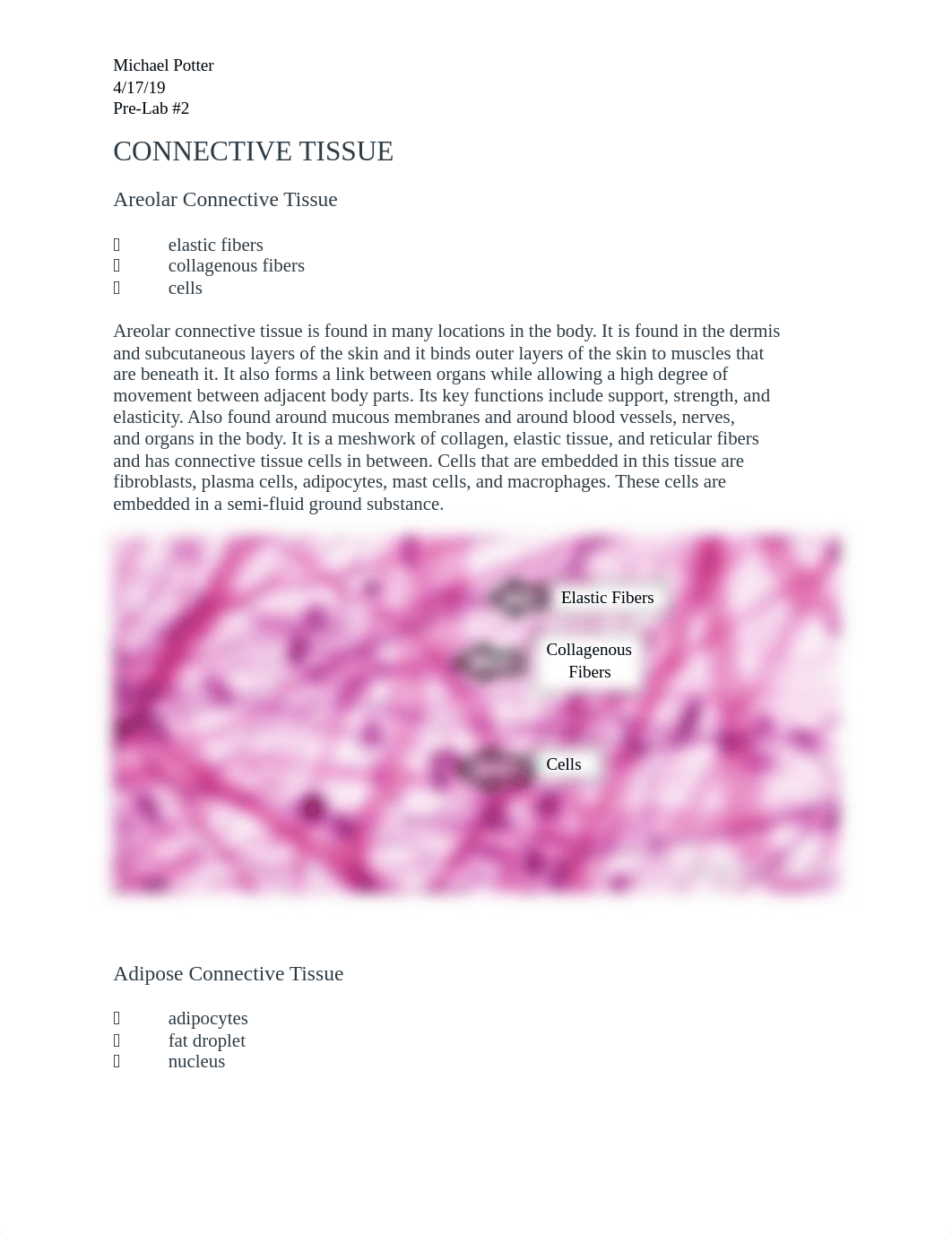 Pre-Lab#2.docx_d0s75klnj5k_page1