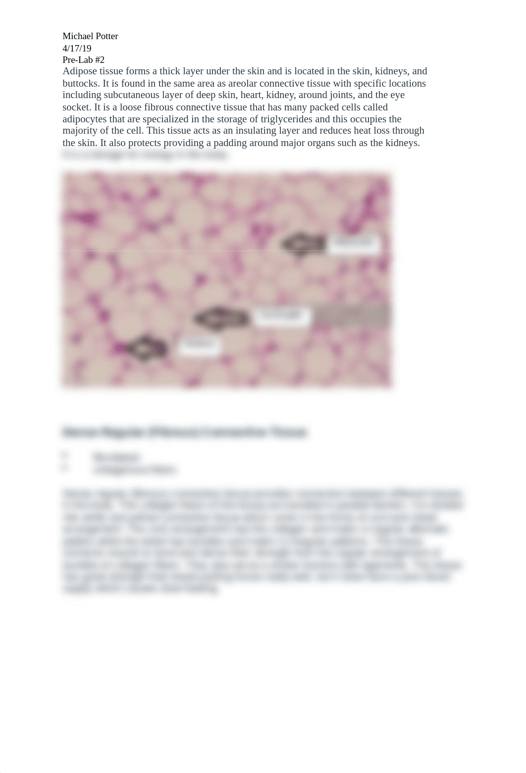 Pre-Lab#2.docx_d0s75klnj5k_page2