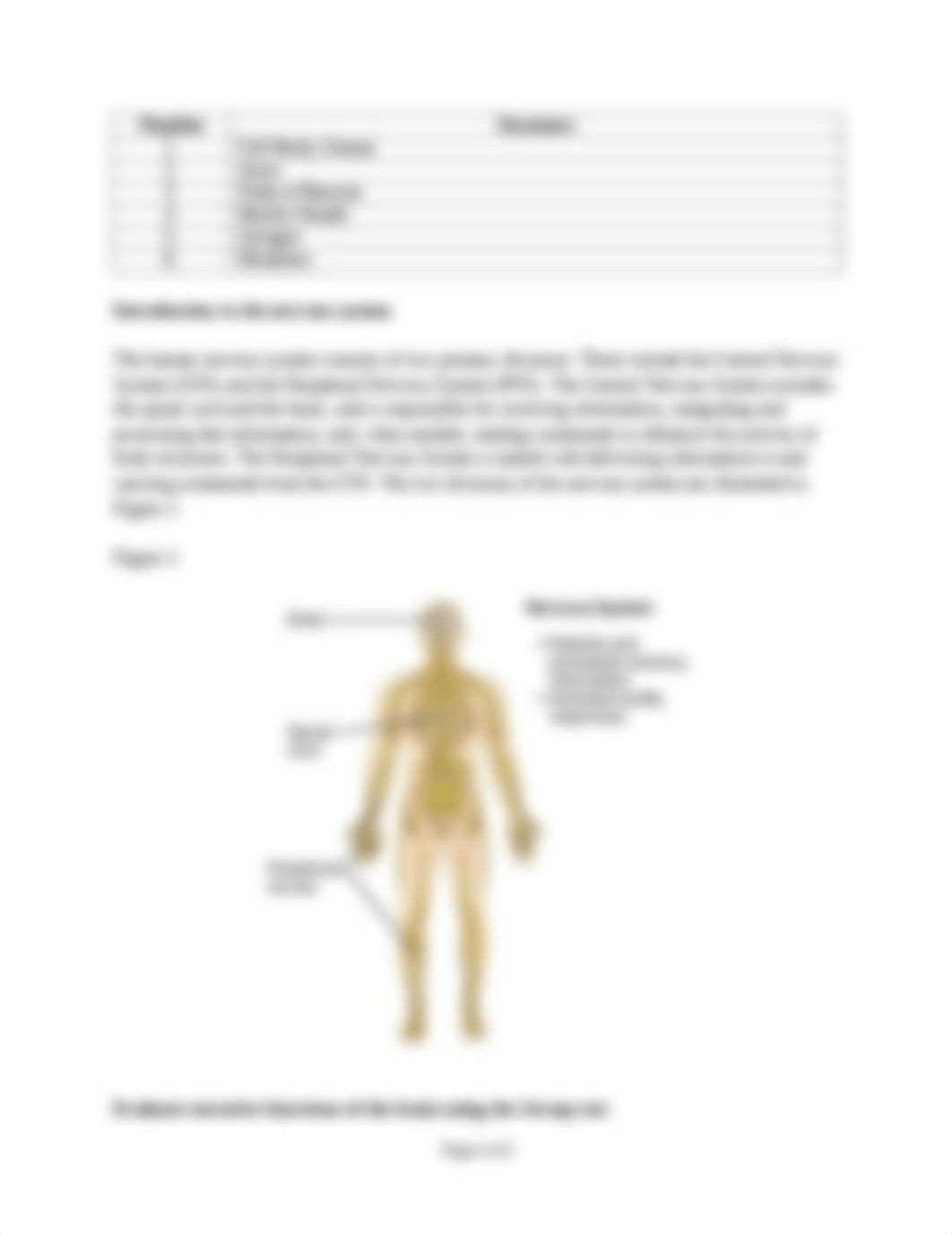 Lab 8- The Nervous System and the Special Senses.docx_d0sd65nrhjo_page2