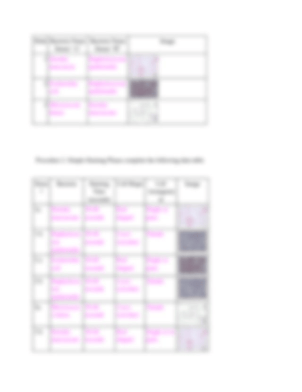 simple & differential staining lab questions.docx_d0srxotisxa_page2