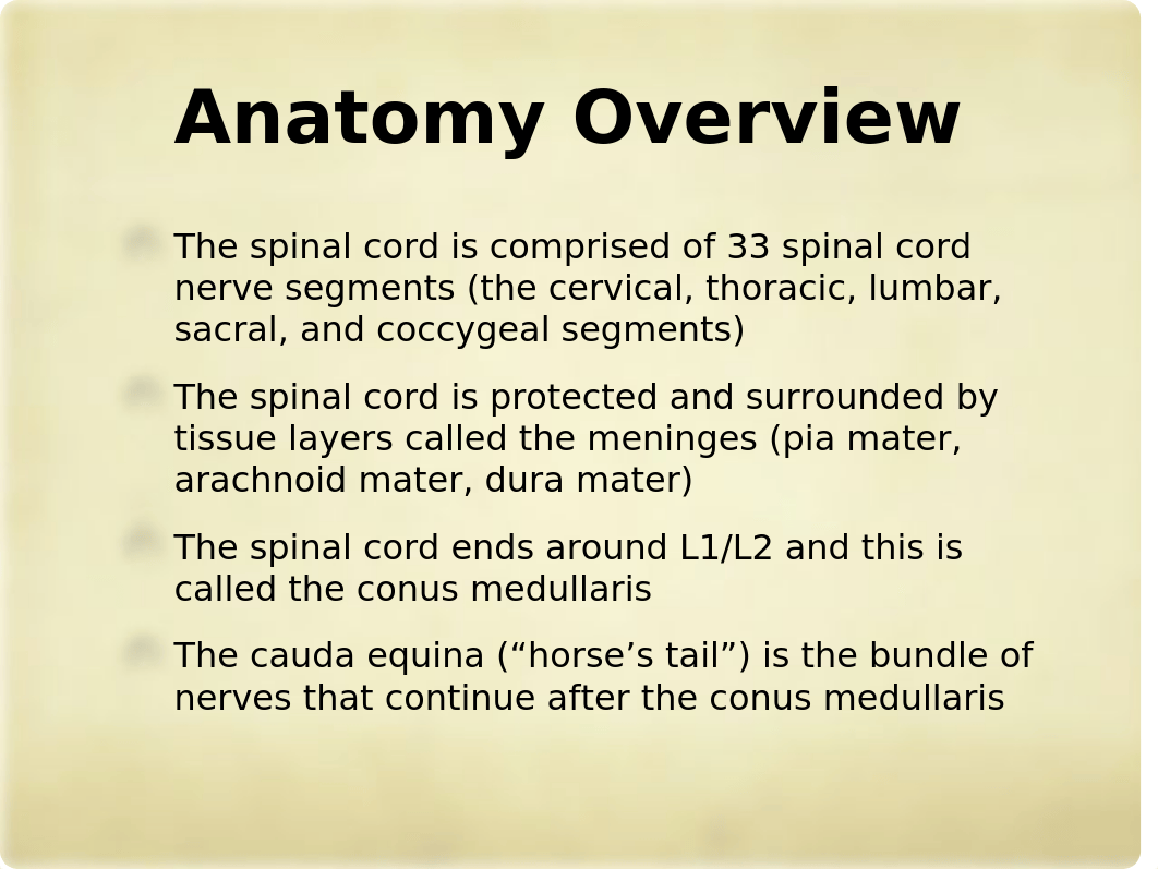 Cervical_and_Lumbar_Radiculopathies-1.pptx_d0stvttjure_page3