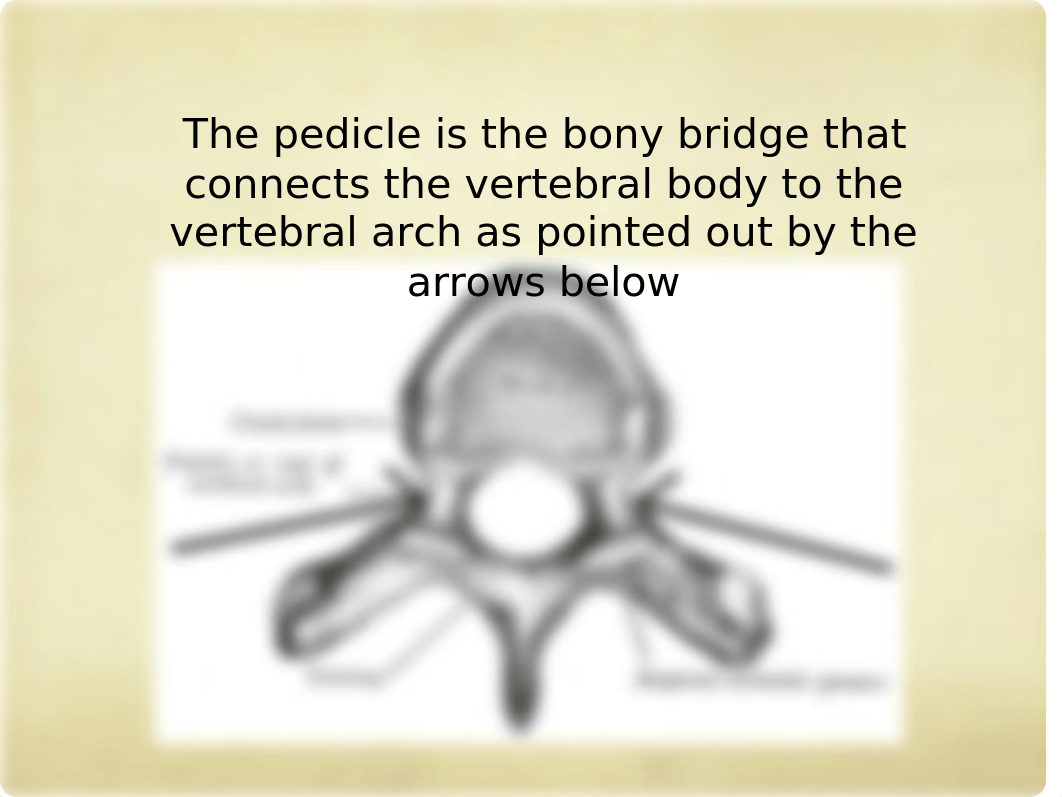 Cervical_and_Lumbar_Radiculopathies-1.pptx_d0stvttjure_page5