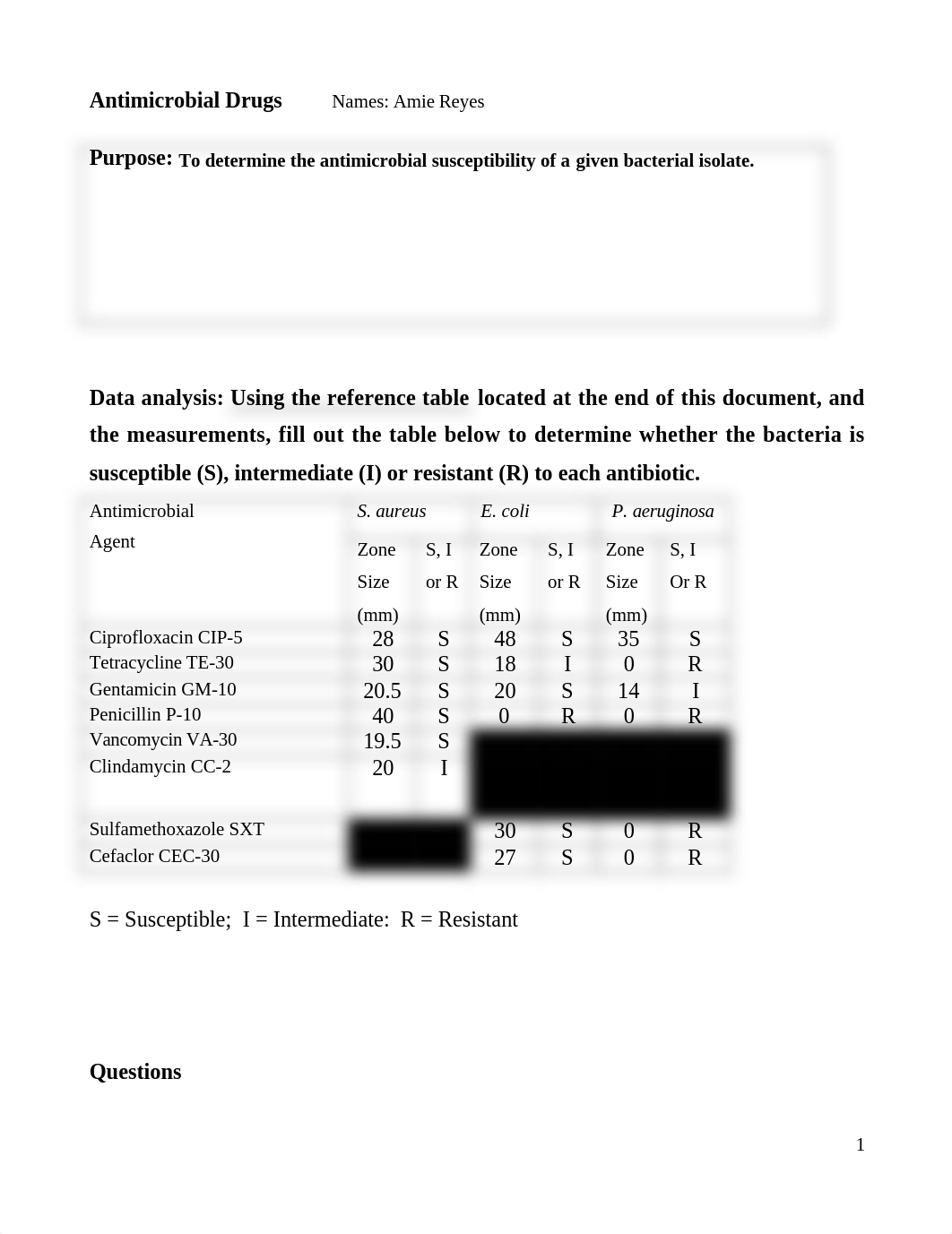 Lab Kirkby Bauer Analysis.docx_d0svqpd1s2s_page1