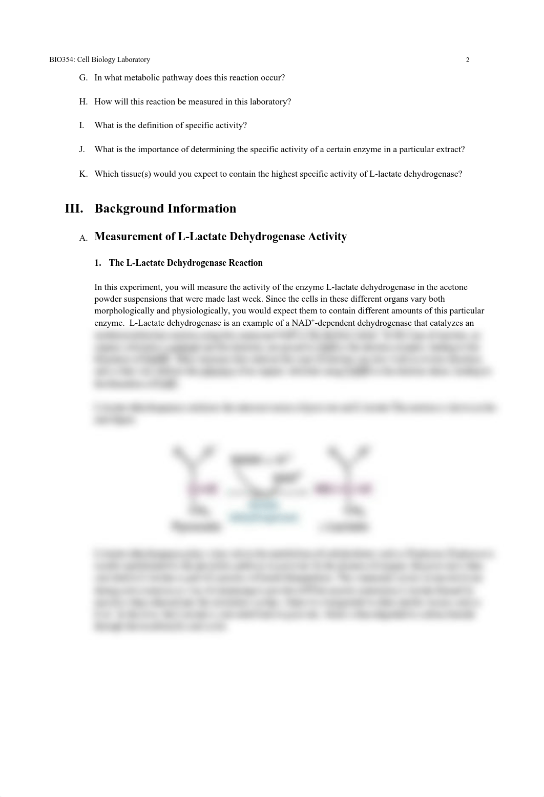 Lab 13 Document.pdf_d0sz24v7pfm_page2