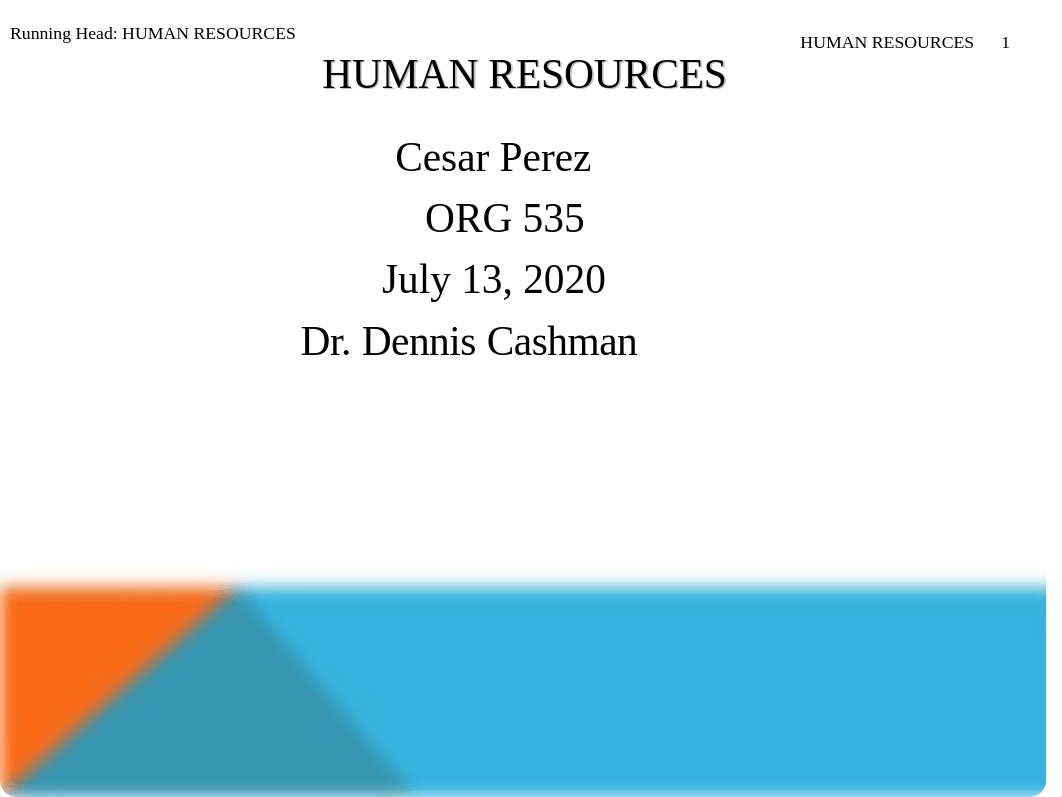 ORG 535 Week 6 Team Final Section HUMAN RESOURCES.ppt_d0t6fbs15p5_page1