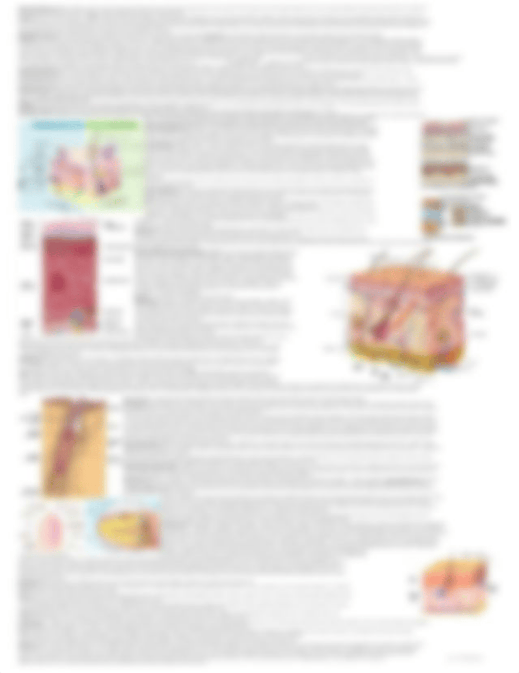 Anatomy & Physiology Cheat Sheet .pdf_d0t7i47qbqg_page2