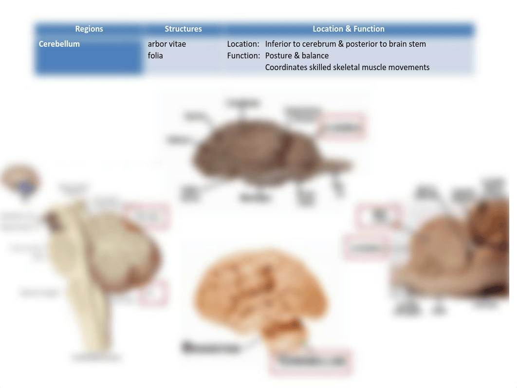 Lab Final Review.pdf_d0ta1ozz8ft_page4