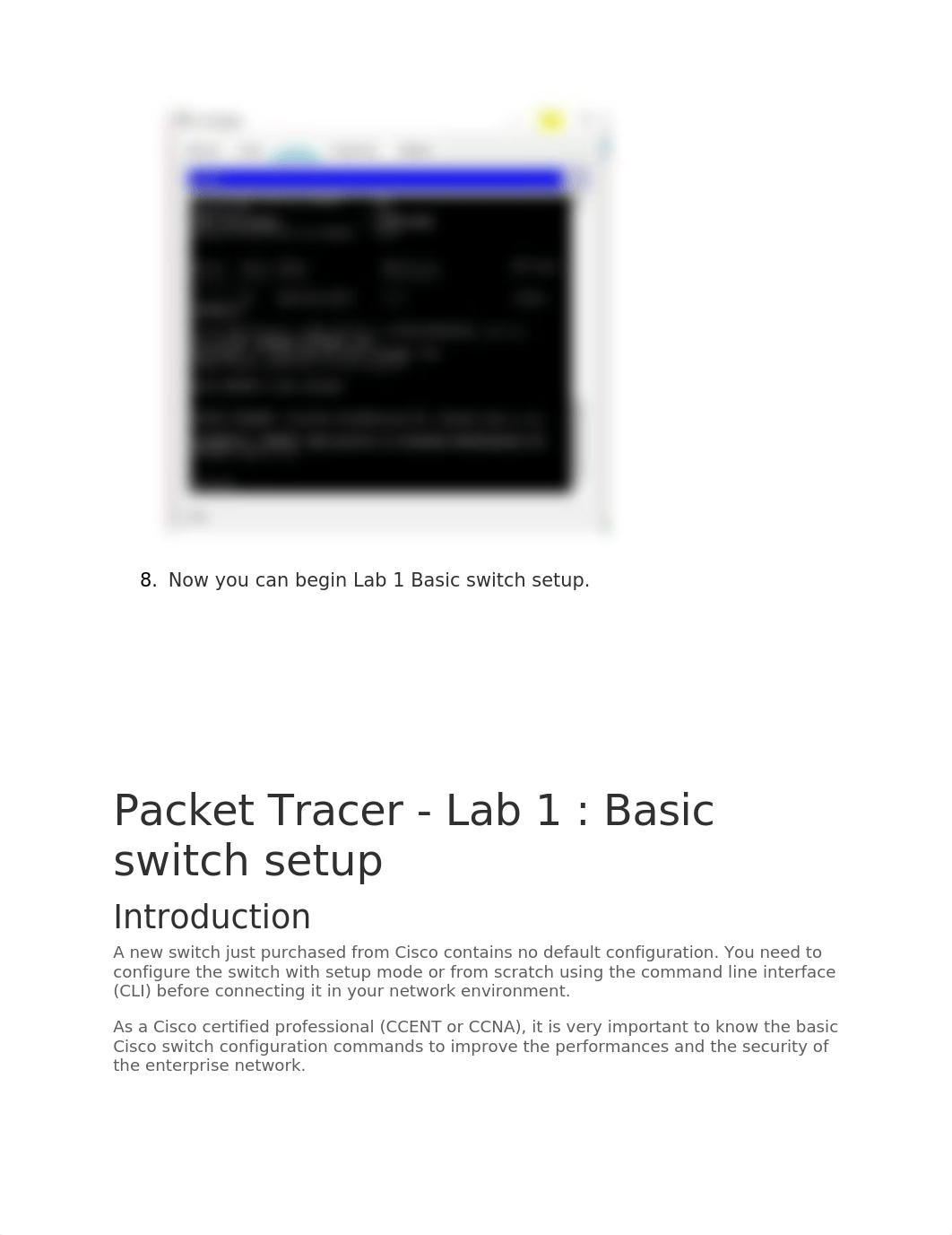 Packet_TRACER_Lab_Intsructions.docx_d0talomq0cf_page5