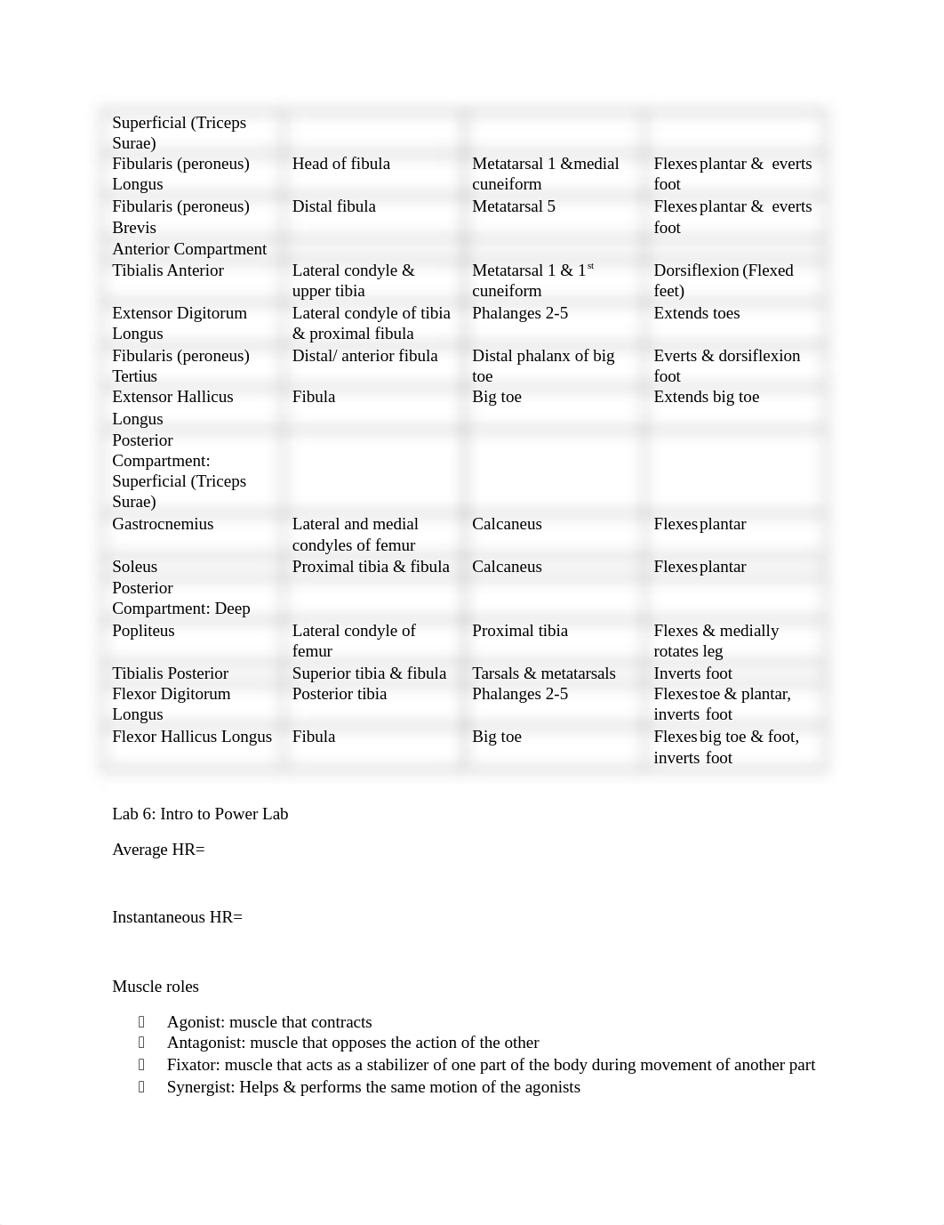 241 lab Final Review_d0tf20h6gko_page4