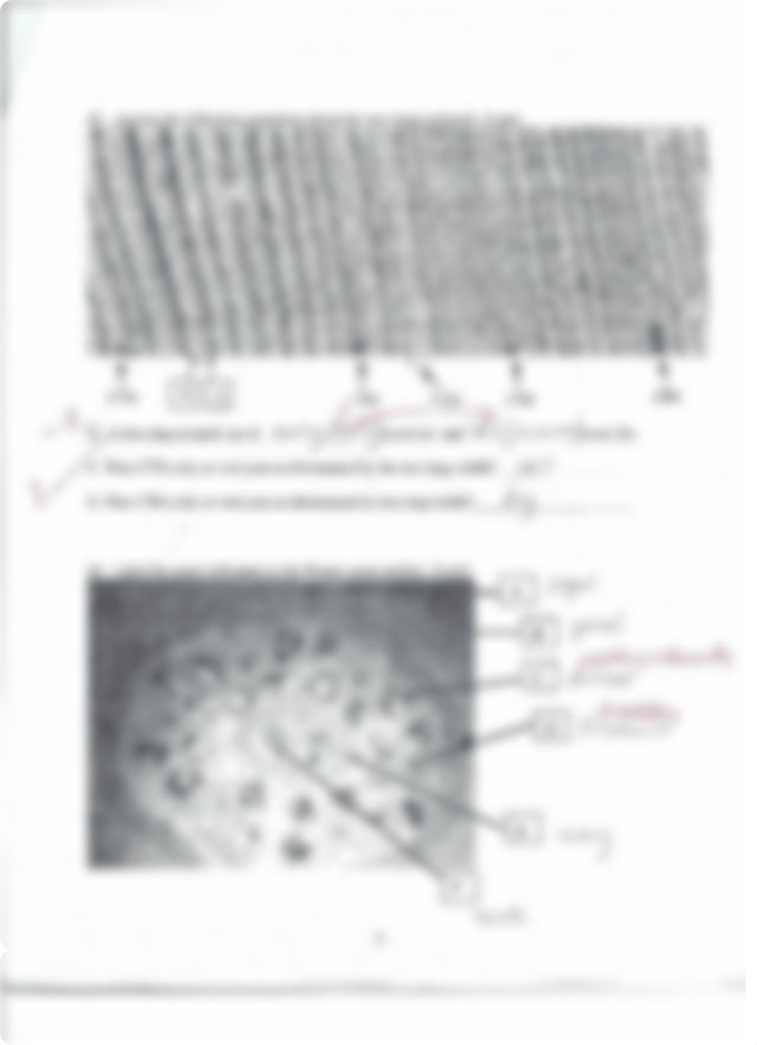 Exam- B_d0tfnprzw88_page3