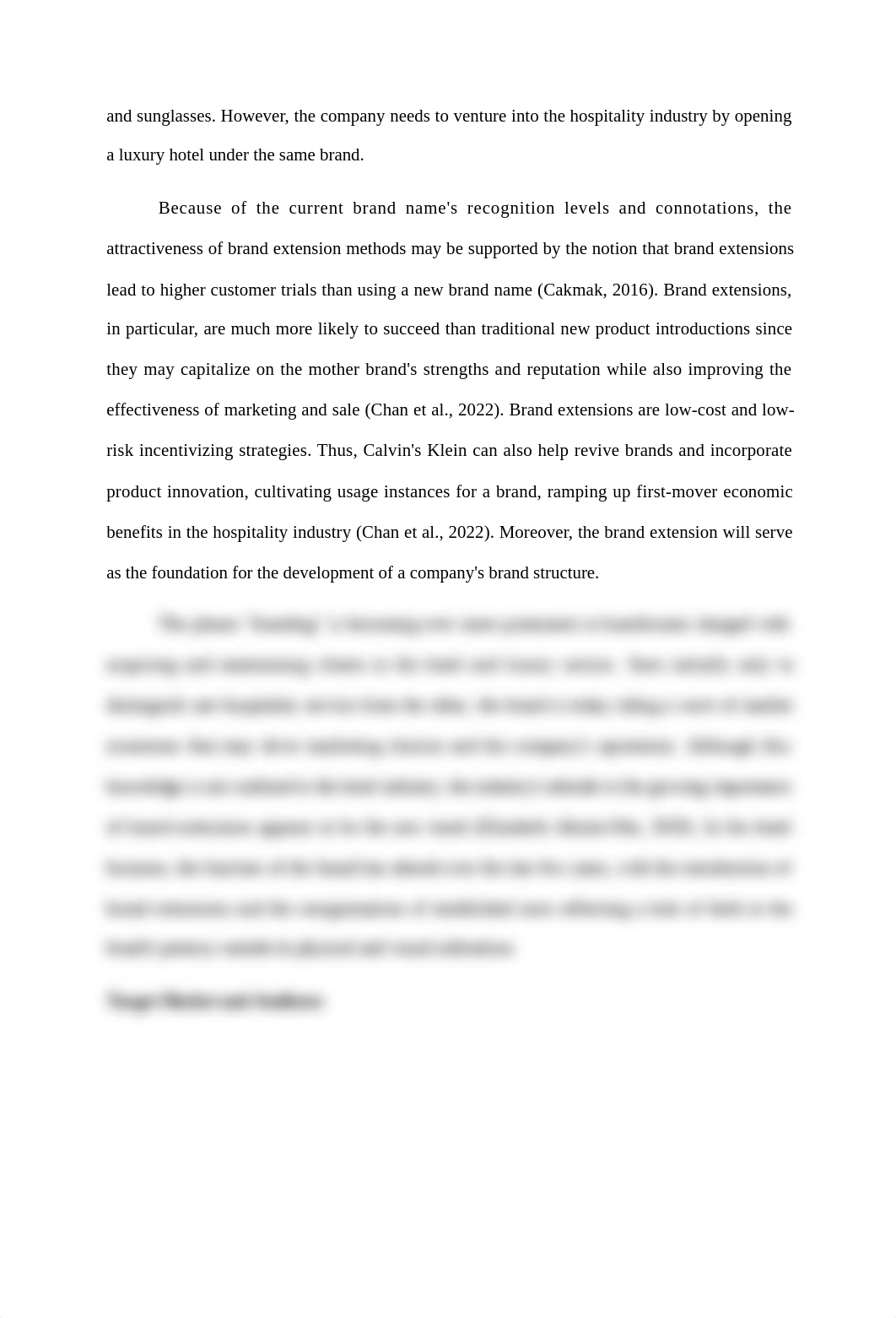 Proposal for a Luxury Hotel Brand Extension.edited.docx_d0tzqwonbi7_page3