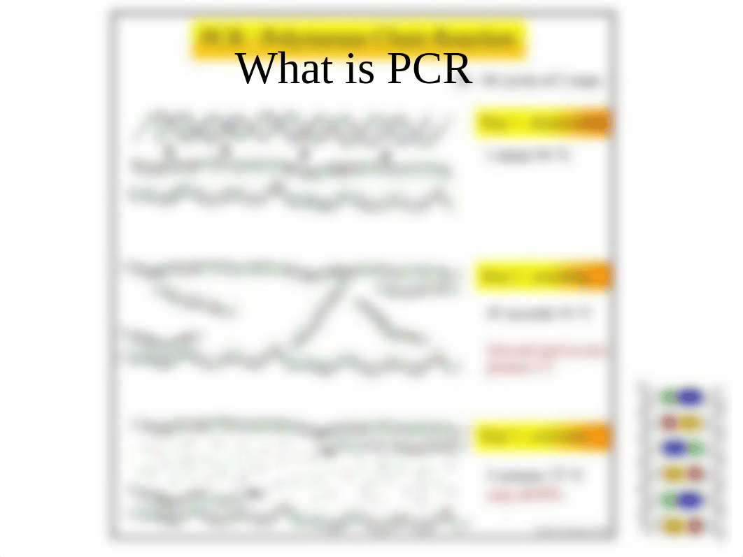 13. PCR and Forensics iLearn (1)_d0tzyl4cxmg_page3