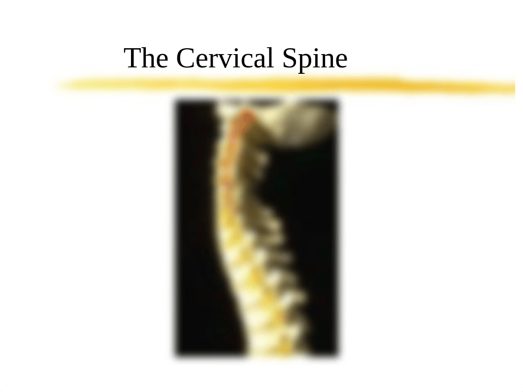 TECH 2712 Week 7 - Cervical Spine Powerpoint Slides (Unabridged)_d0u2e7h43fw_page1