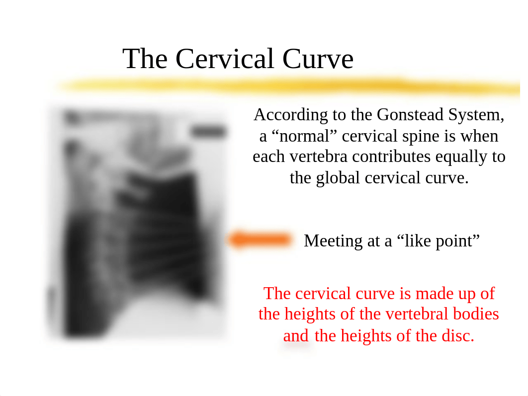 TECH 2712 Week 7 - Cervical Spine Powerpoint Slides (Unabridged)_d0u2e7h43fw_page4