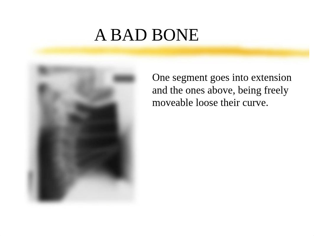 TECH 2712 Week 7 - Cervical Spine Powerpoint Slides (Unabridged)_d0u2e7h43fw_page5