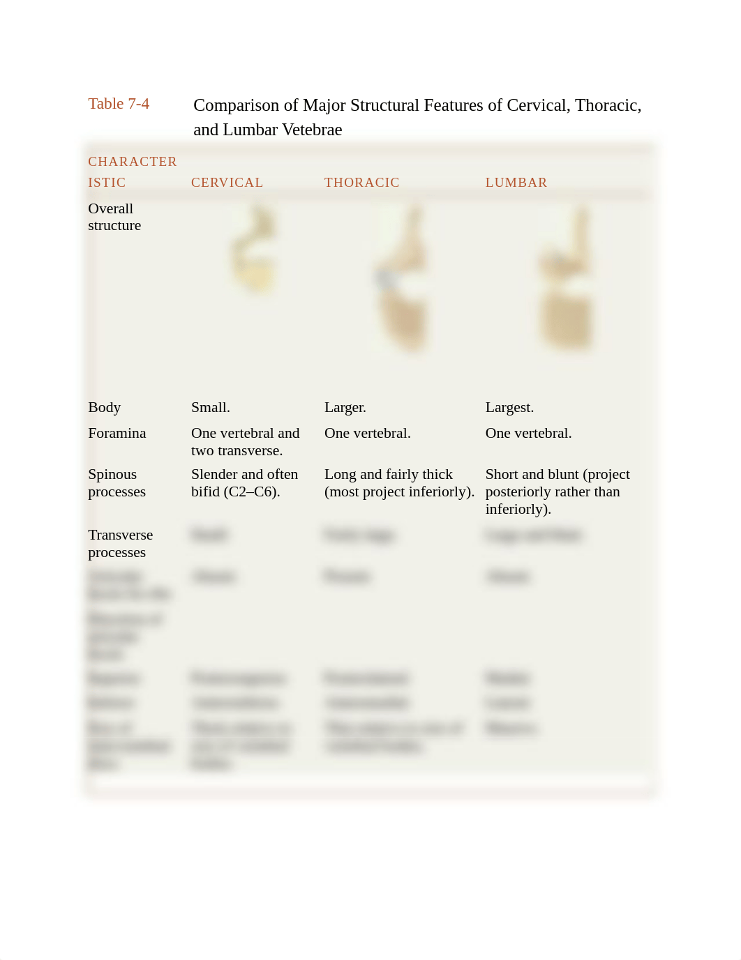 Comparison of Vertebrae Types_d0ua516sl58_page1