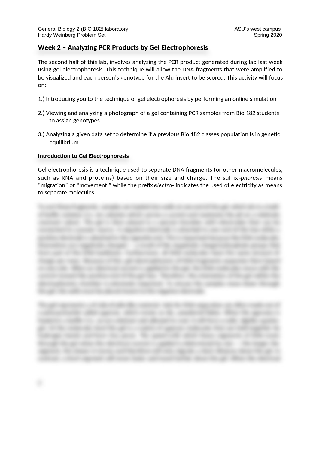 lab 8 - Problem Set 2.docx_d0ur8gpylaz_page2