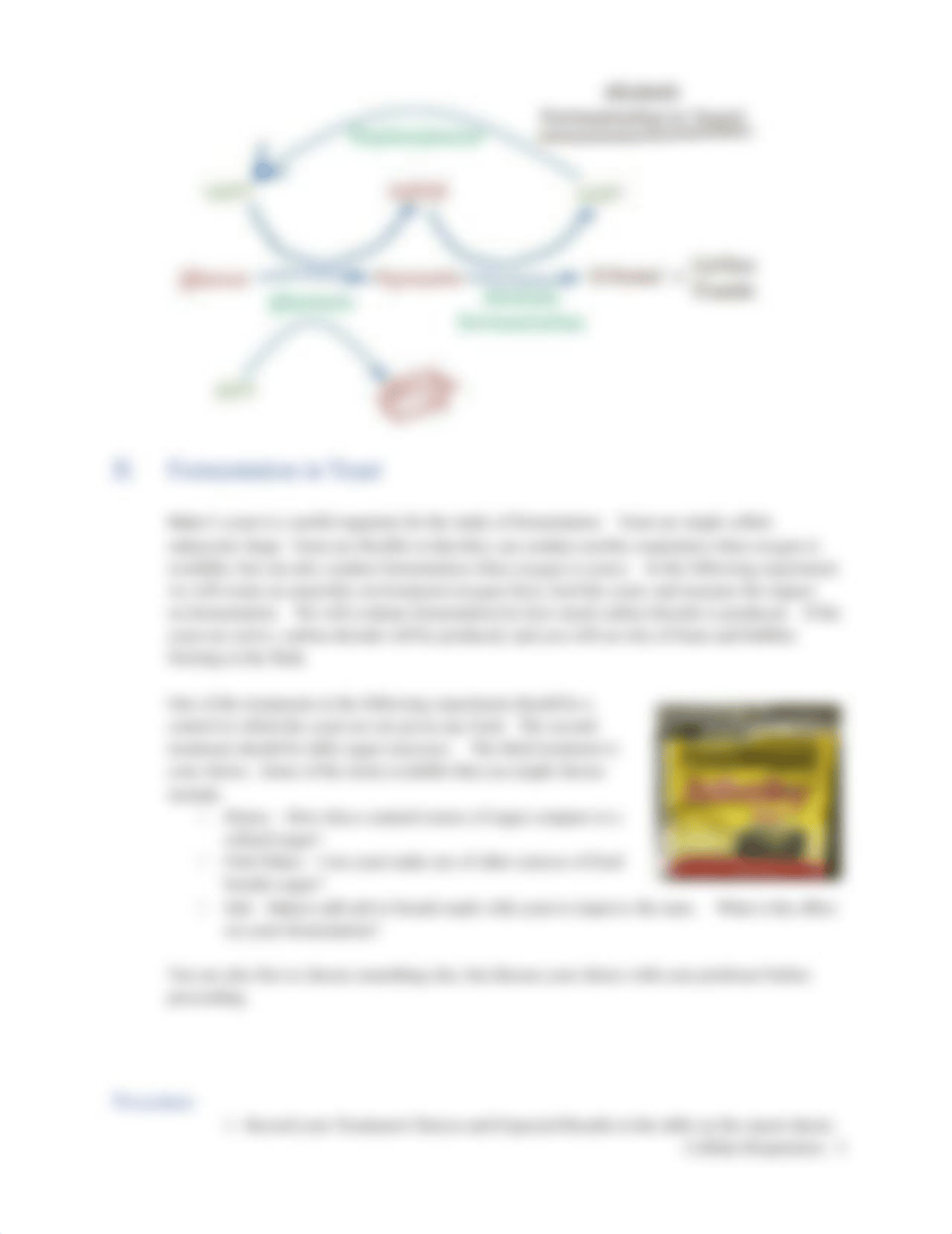 Cellular Respiration.docx_d0v2nuau9as_page3