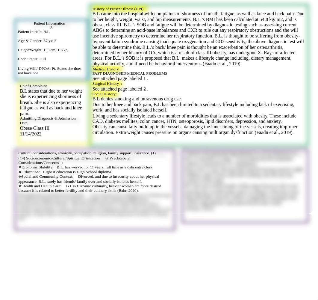 Clinical Judgement Plan 1 .docx_d0v7yz2je99_page2