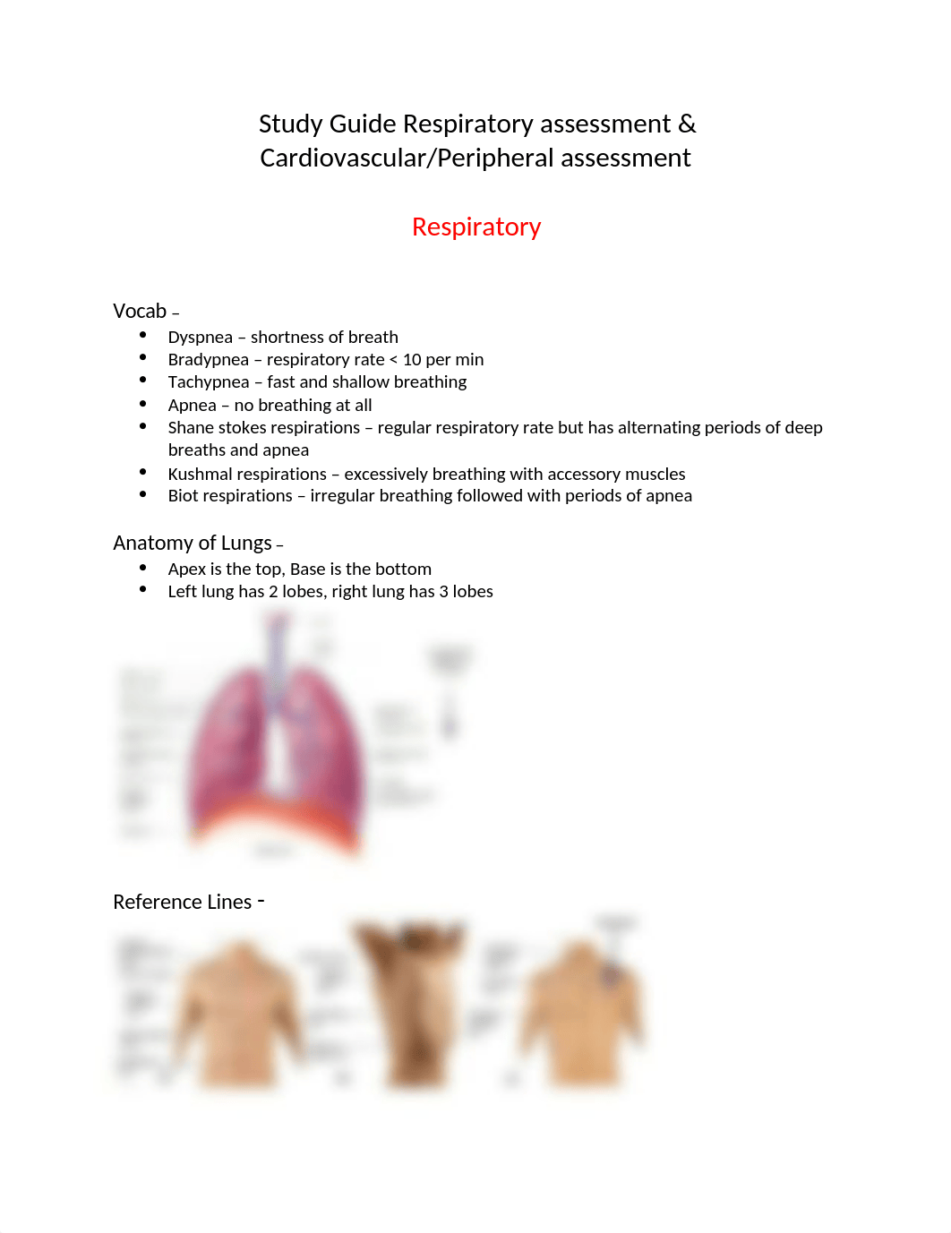 Study Guide Respiratory assessment.docx_d0vehoiropw_page1