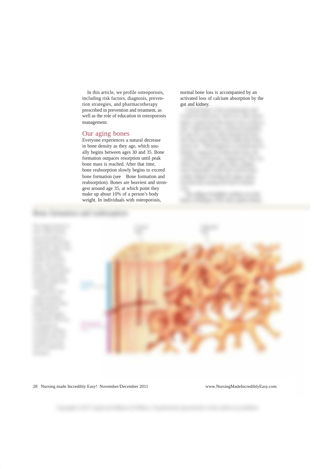 Gattullo_-_Osteoporosis_N-D_11.pdf_d0vl3qdrhdq_page3