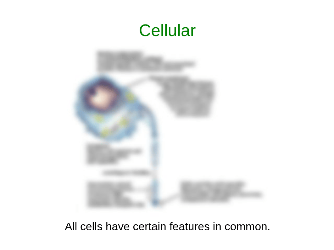 Chapter 1.ppt_d0vrsnu2cd8_page4