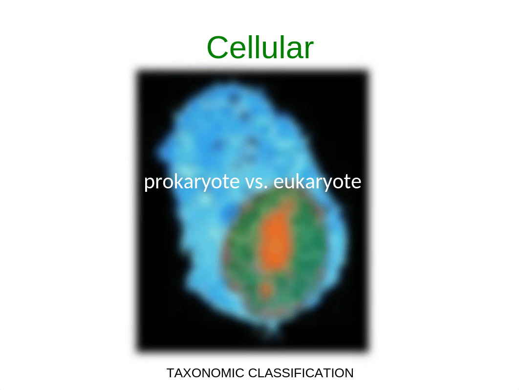 Chapter 1.ppt_d0vrsnu2cd8_page5