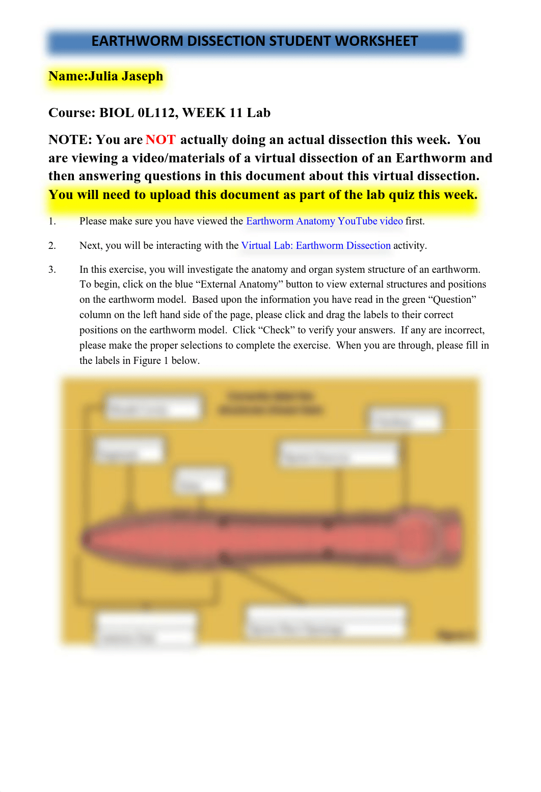 EARTHWORM DISSECTION STUDENT WORKSHEET.pdf_d0vypo64szx_page1