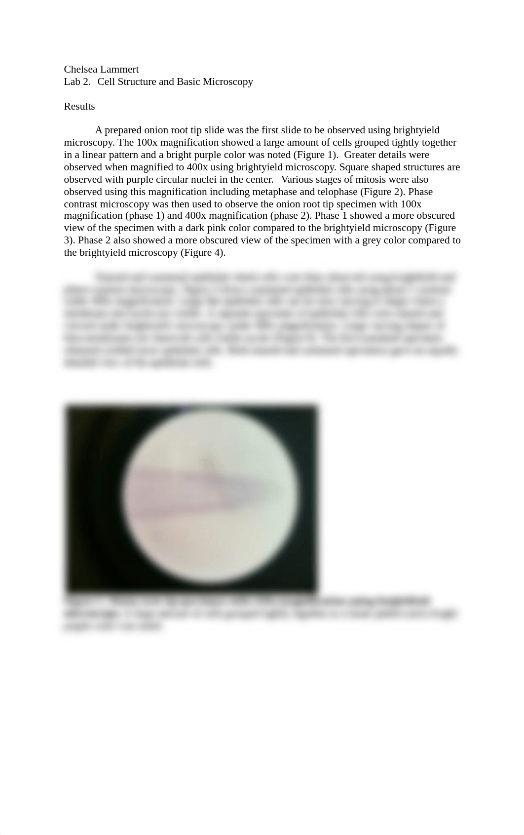 Lammert post lab 2.docx_d0vz3uozdex_page1