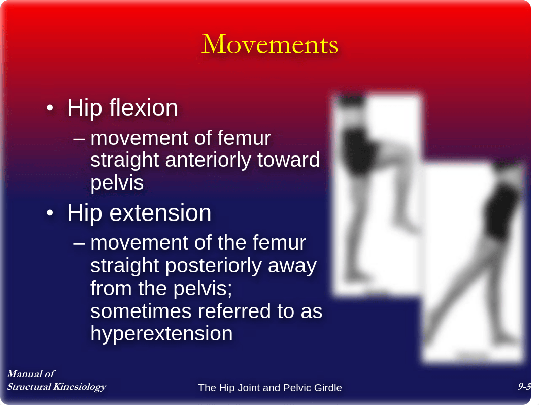 Chap9 - The Hip Joint and Pelvic Girdle - Notes_d0vz9kkj1s5_page5