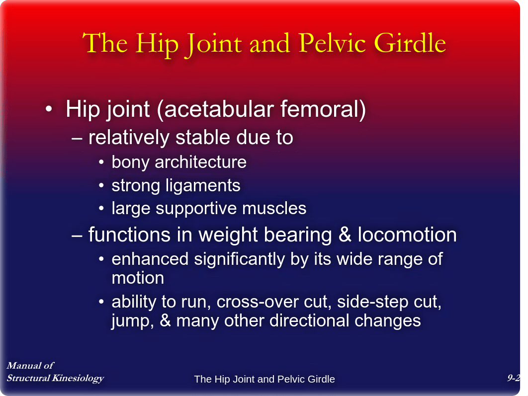 Chap9 - The Hip Joint and Pelvic Girdle - Notes_d0vz9kkj1s5_page2