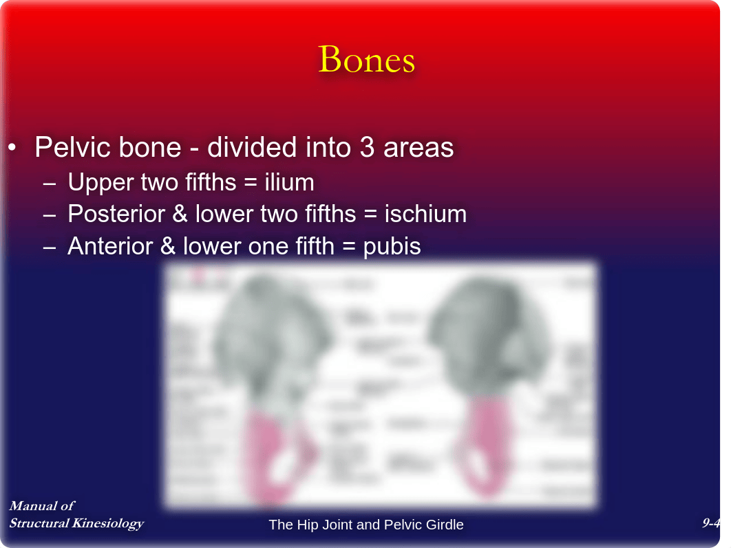 Chap9 - The Hip Joint and Pelvic Girdle - Notes_d0vz9kkj1s5_page4