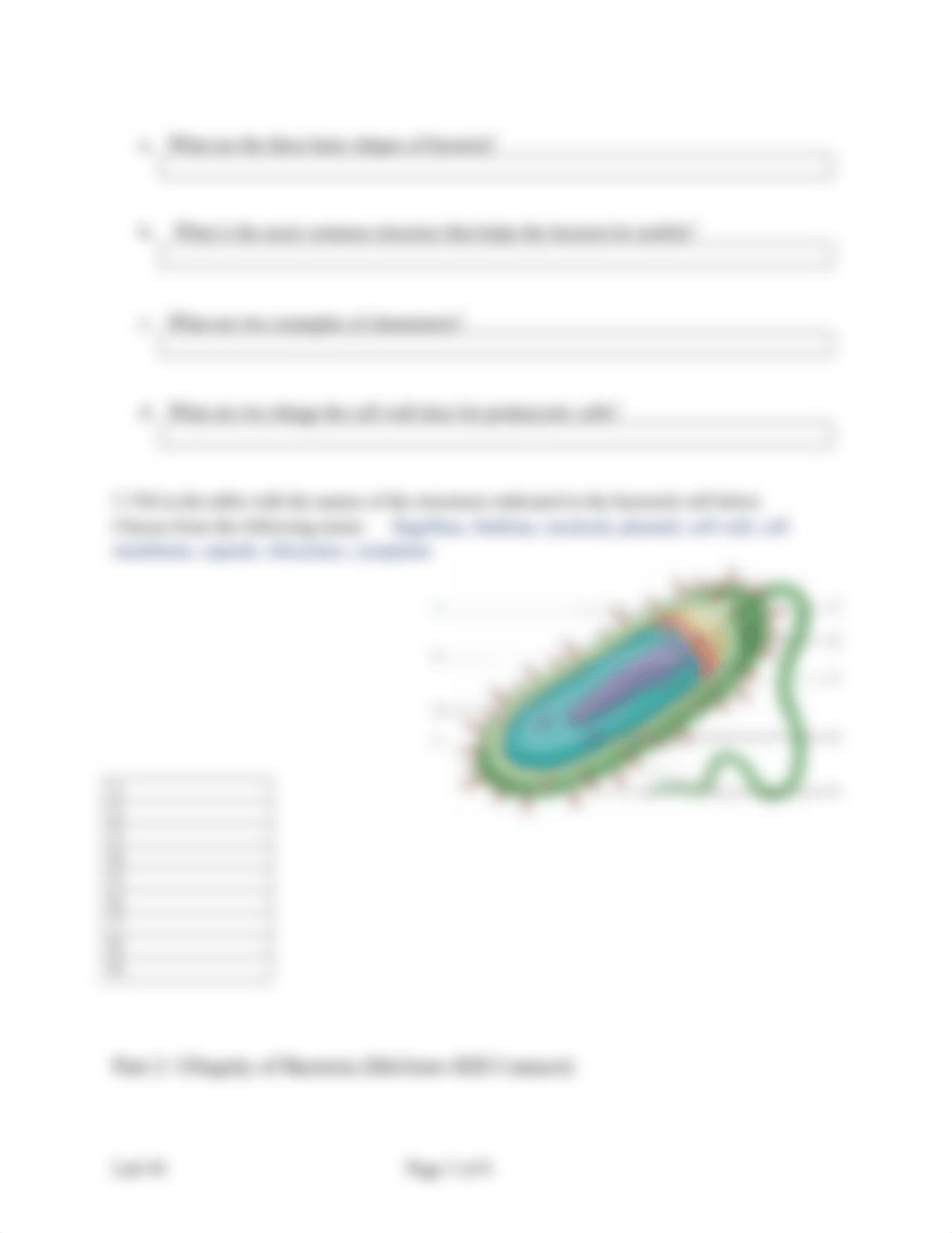 Bio 101 Lab 6.docx_d0w18qsdekc_page3