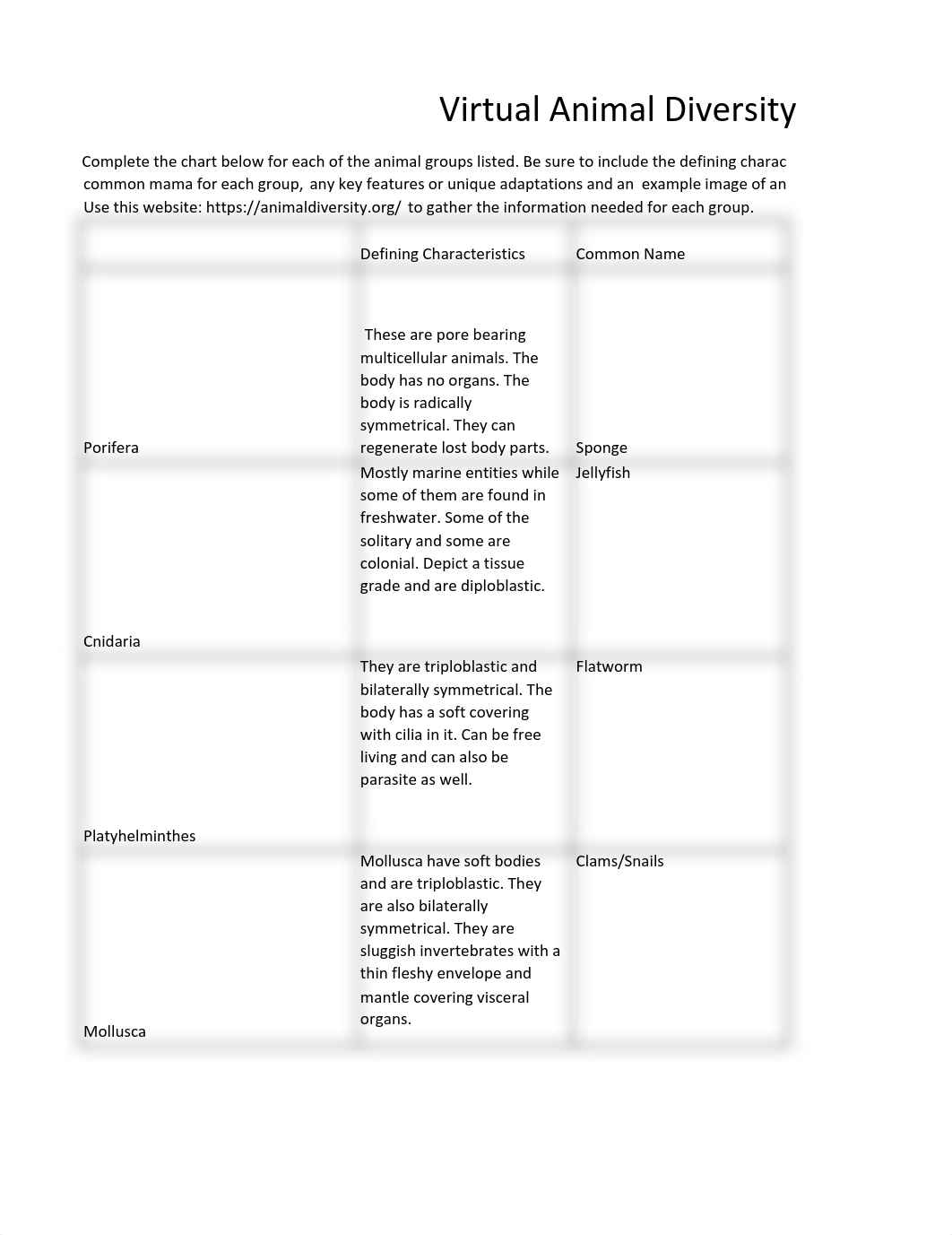 Virtual Animal Diversity lab bio182.pdf_d0w5gy2dscu_page1