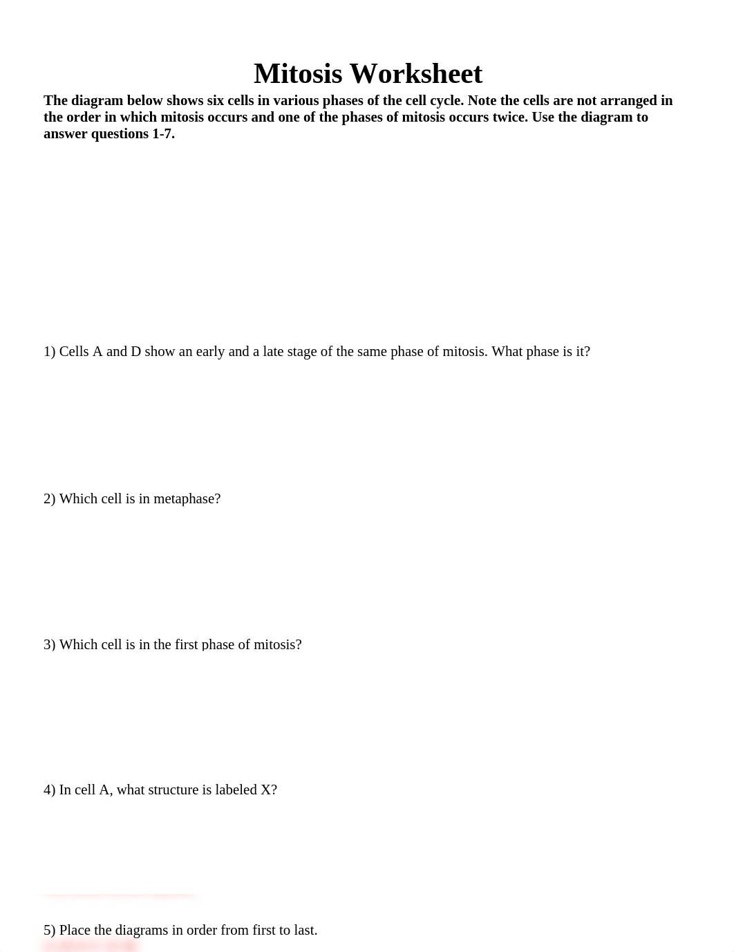 Mitosis Worksheet .docx_d0wddx2mkb2_page1