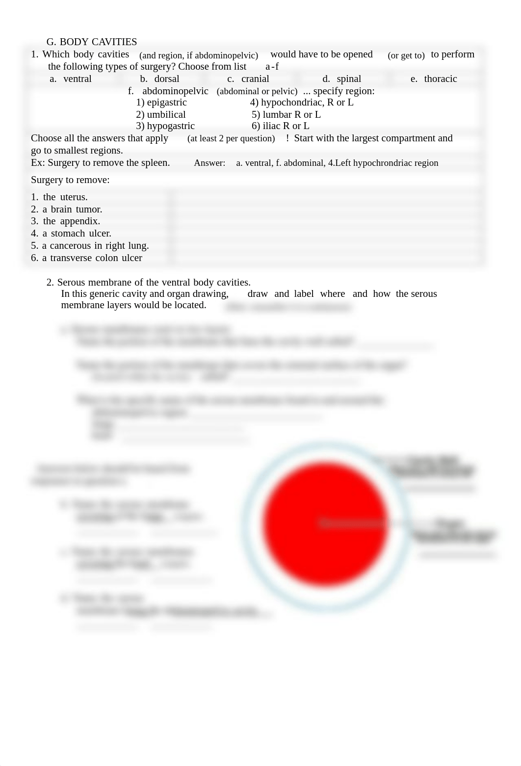 BI 231 EX 1 and 3 Online Lab report.pdf_d0wnj3drwsk_page3