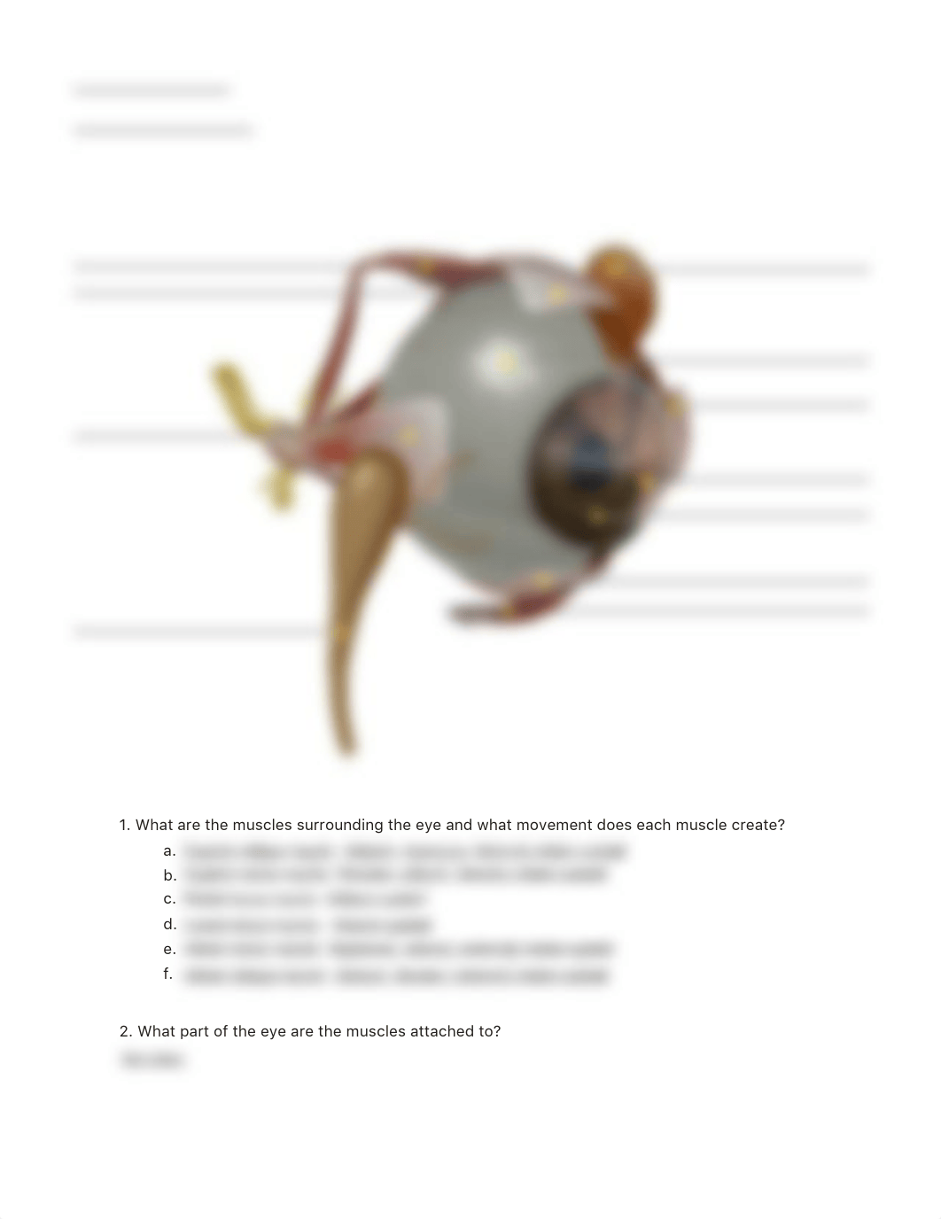 lab manual_senses eye_atlas.pdf_d0woc3t7ub6_page2