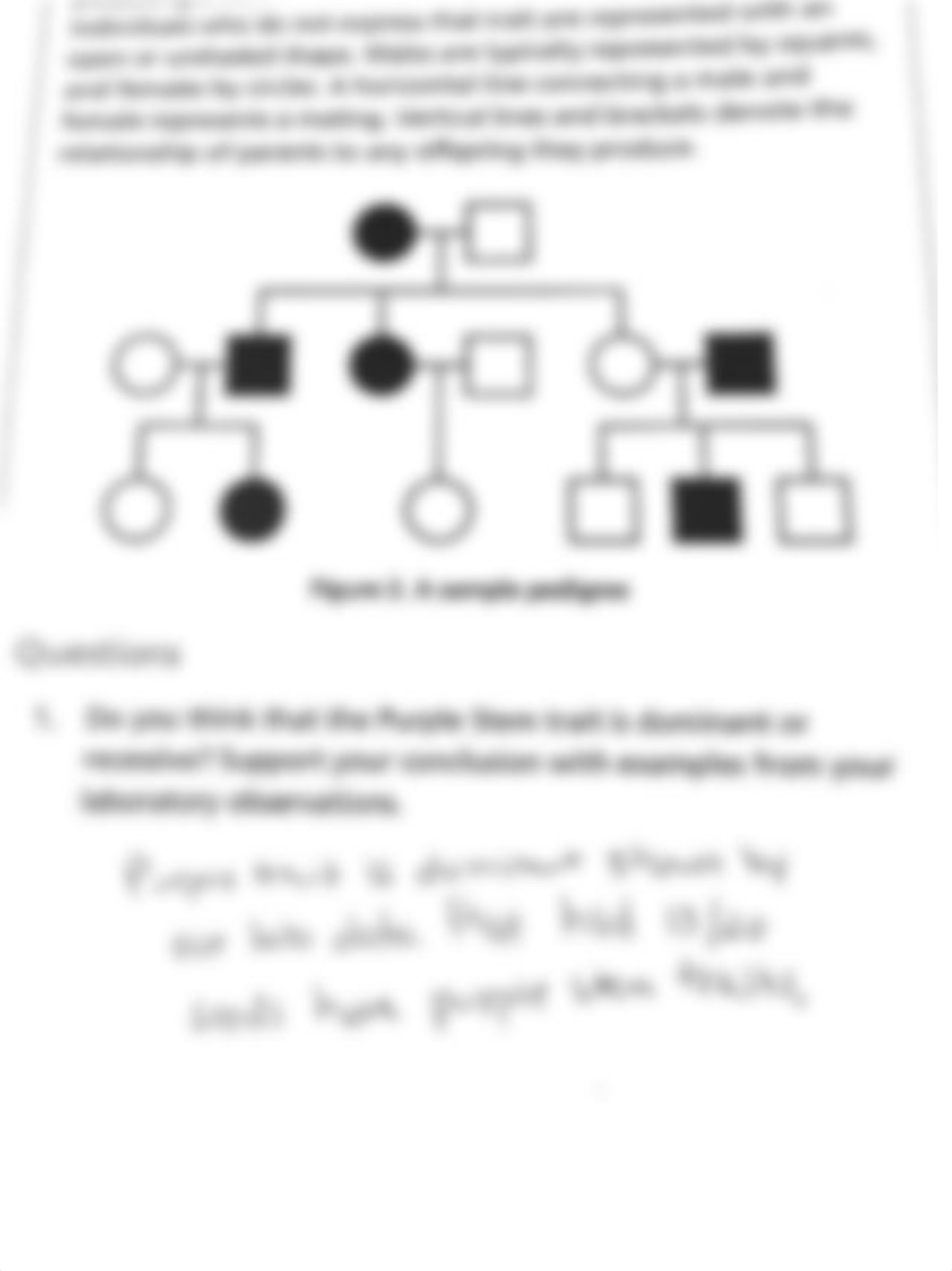 Comprehending Genetic Inheritance.pdf_d0wz3yeiijb_page1