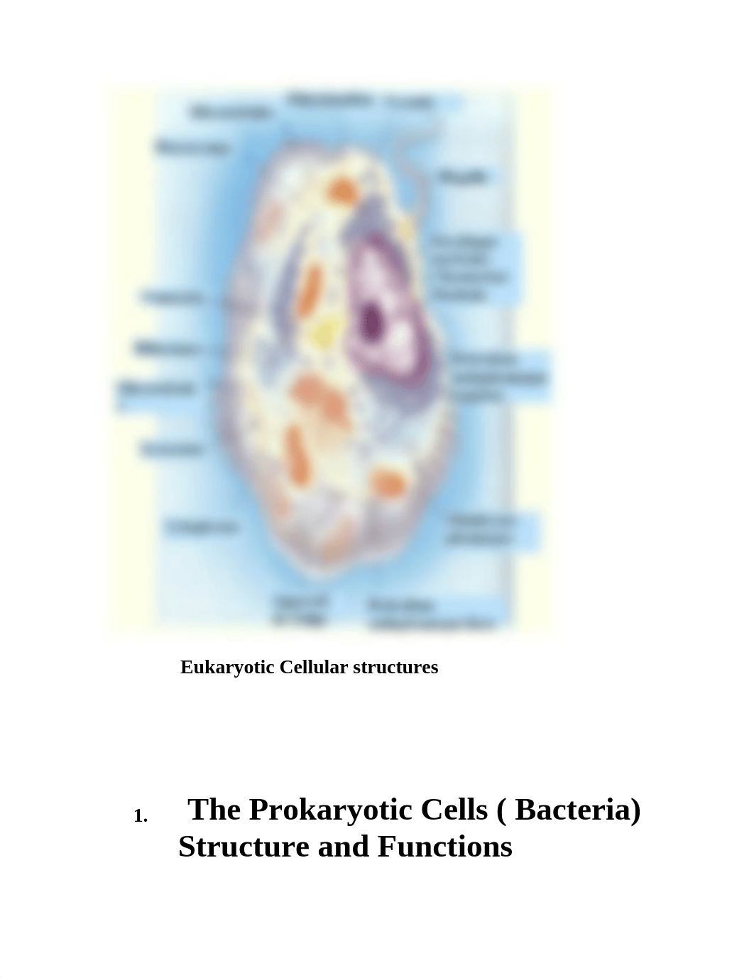 Functional Anatomy of Prokaryotic and Eukaryotic cells_d0wzsckfvhx_page3