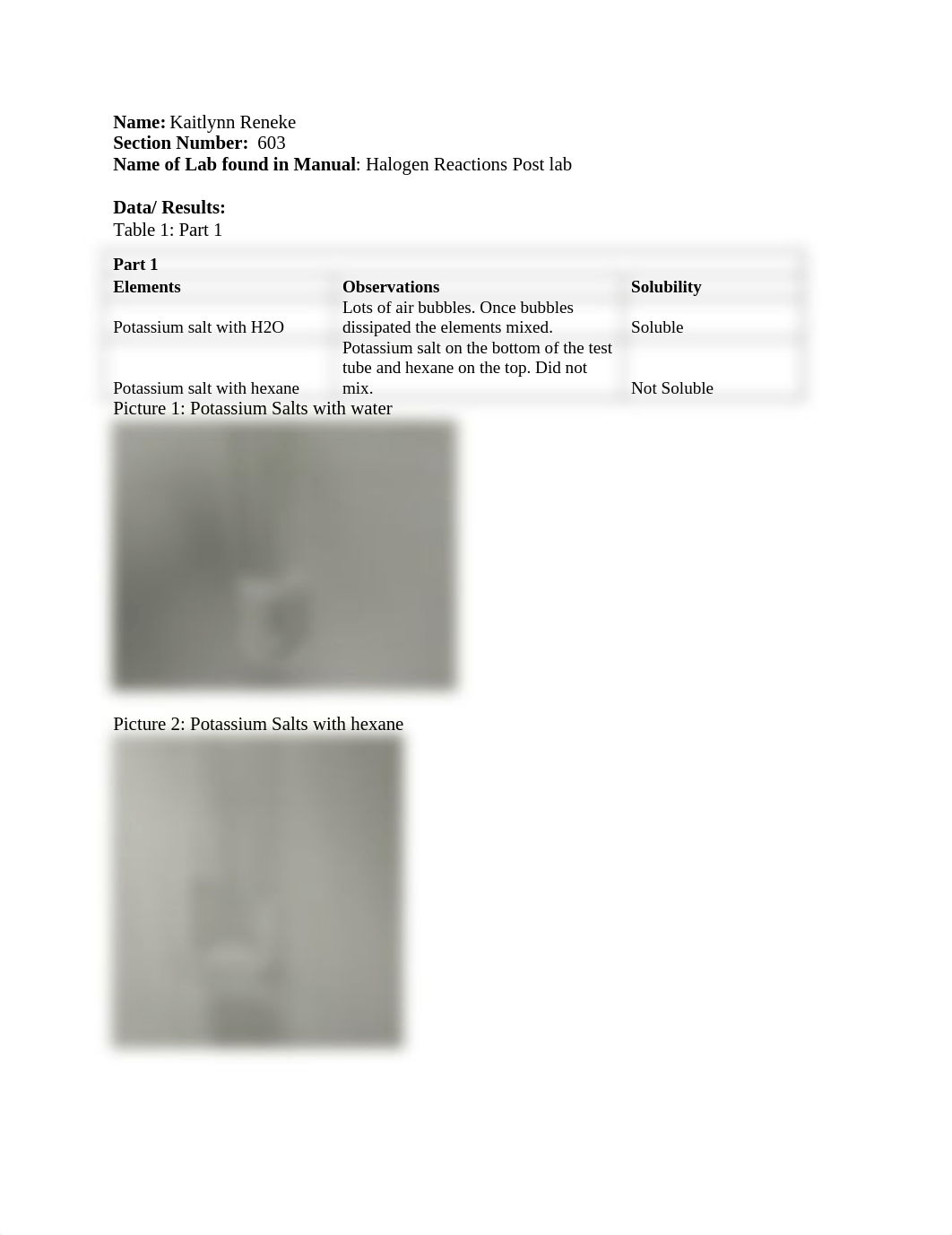 chem 1 post lab halogens_d0x4ixxba5y_page1