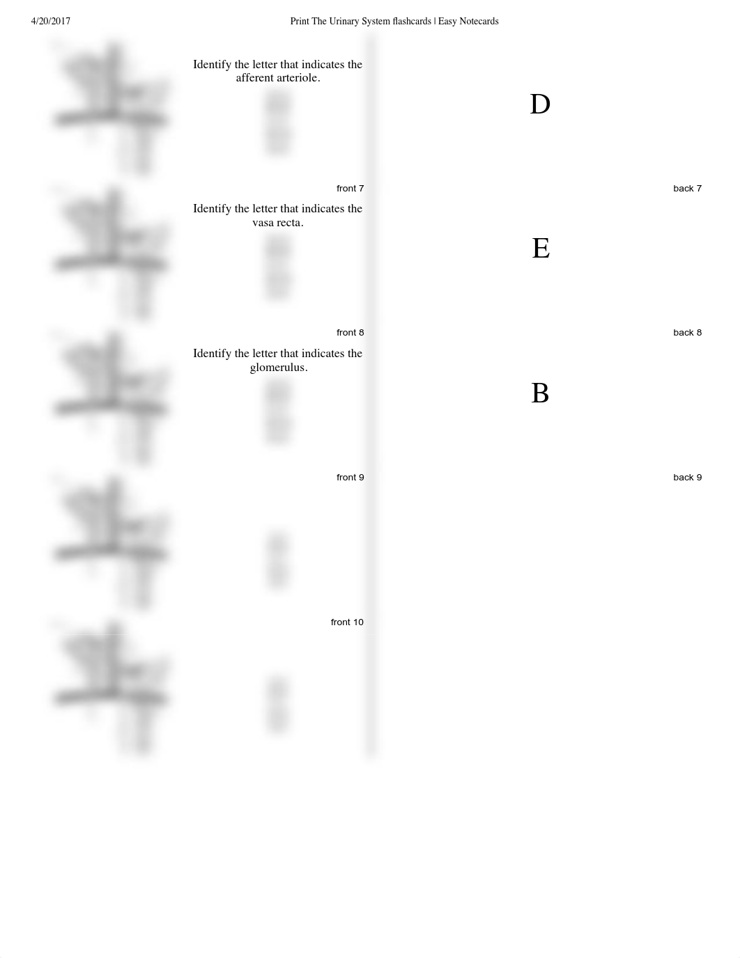 Urinary System Flashcards.pdf_d0xborrmvnv_page2