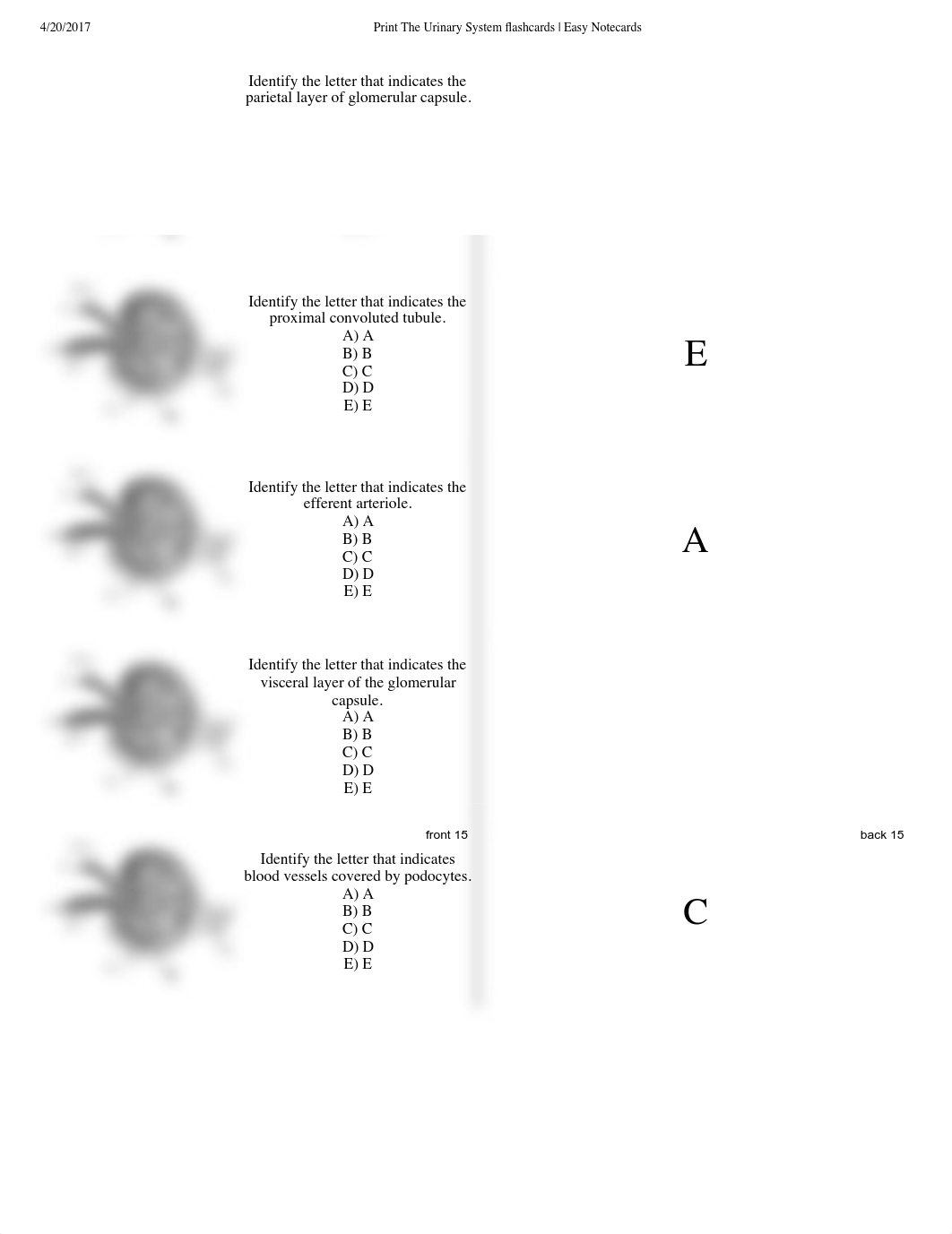 Urinary System Flashcards.pdf_d0xborrmvnv_page3