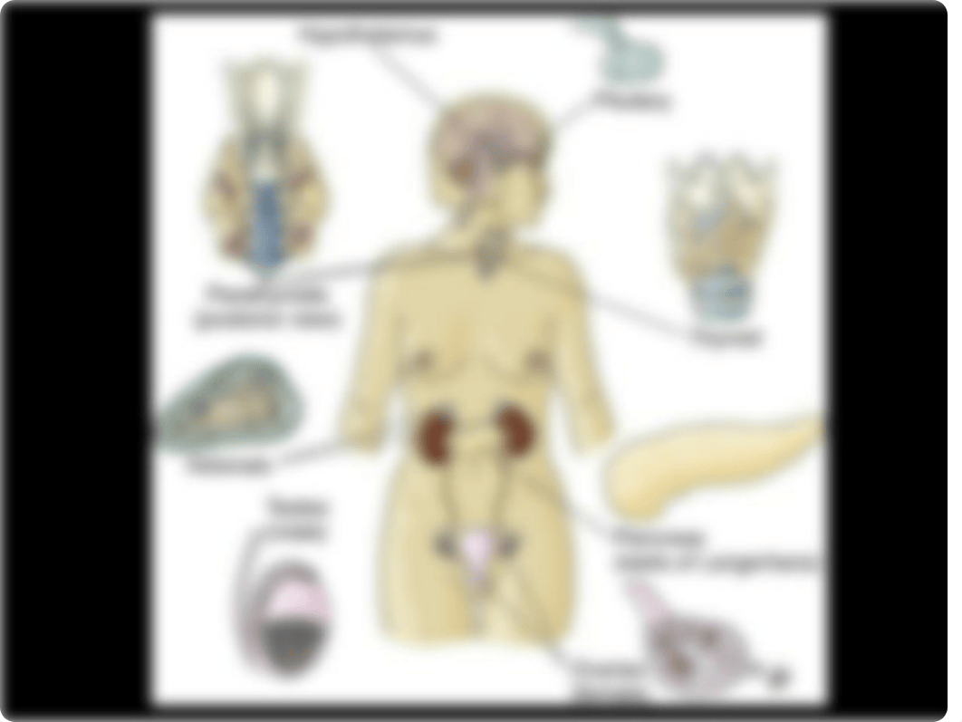 Week 9 guide. Endocrine (3).pptx_d0xcidaqx7d_page3