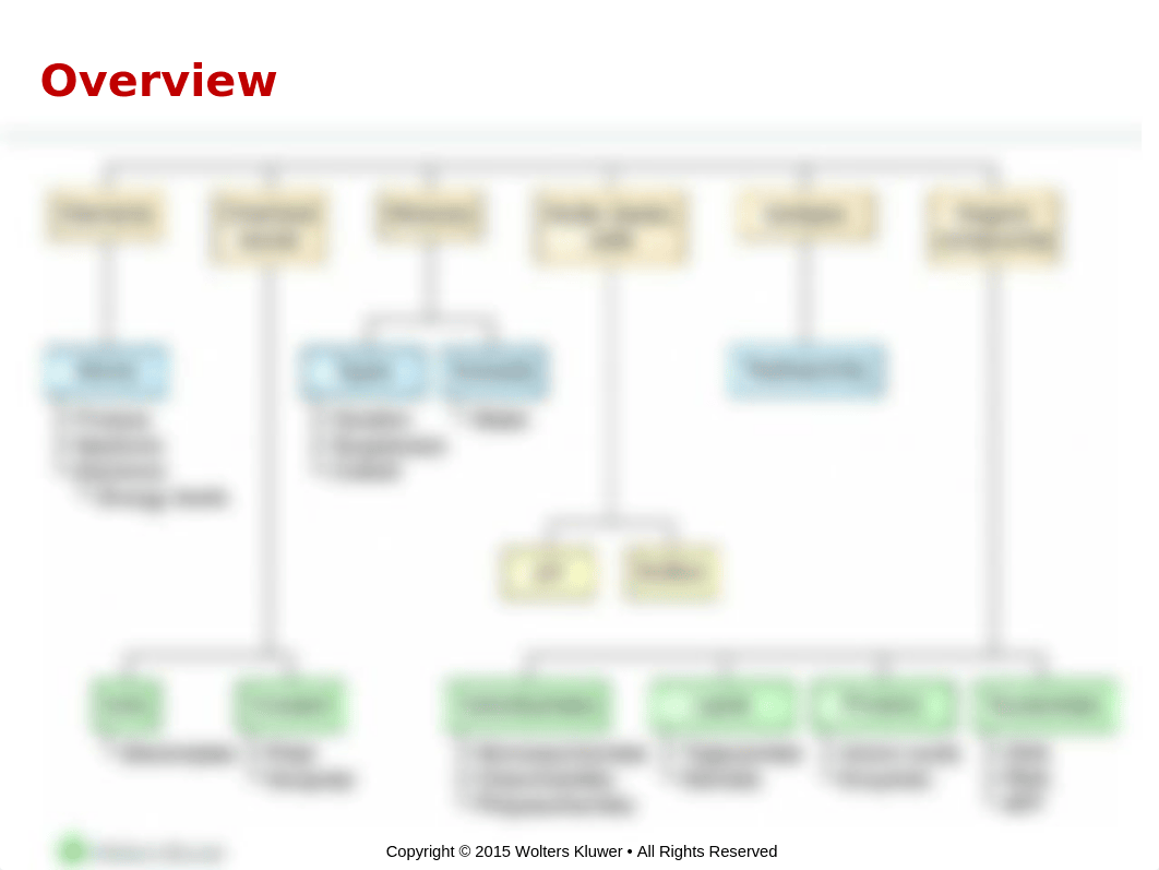 CohenPPT_Ch2_hergert revised_June_17.ppt_d0xlnv1v5w3_page2