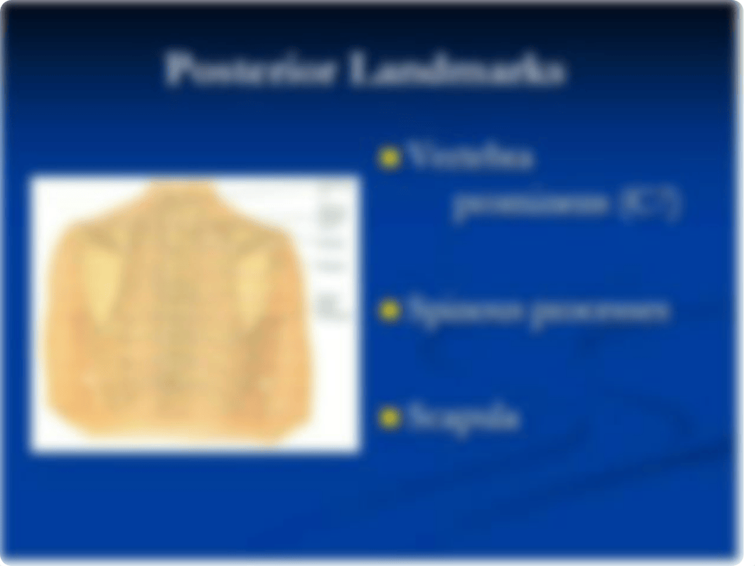 Thoracic and Lung Assessment_d0xm743dmjd_page3